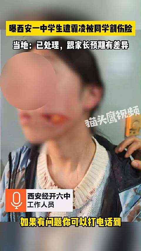 陕西宜川初中女生遭校园欺凌事件：法律与教育如何应对？