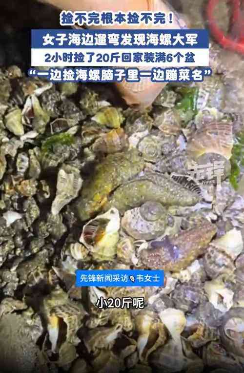 女子遛弯捡到20斤海螺装满6盆，网友直呼这泼天的富贵轮到她了！