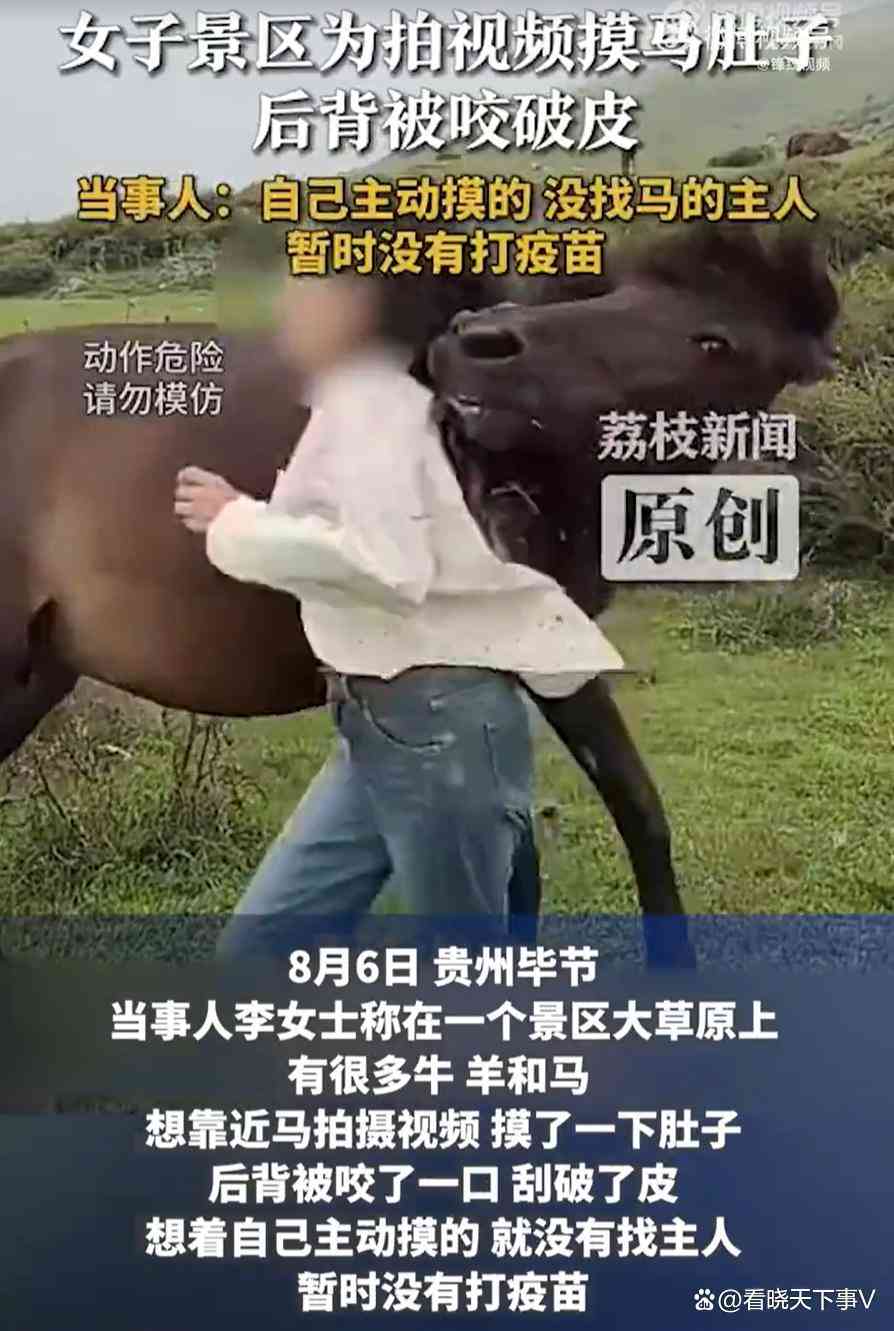 贵州景区女子摸马被咬事件：安全距离是人与动物的底线