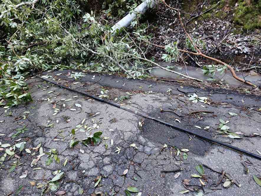 谨记法拉第笼效应：汽车挂到电缆时的正确自救方法