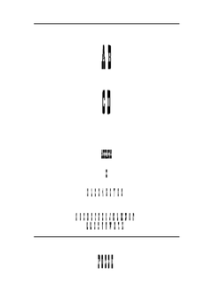 ​POSSEN 字体下载｜创意设计排版英文字体资源