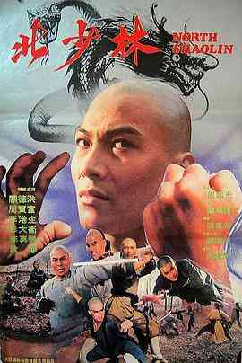 《北少林》免费在线播放｜1976台湾经典动作武侠片