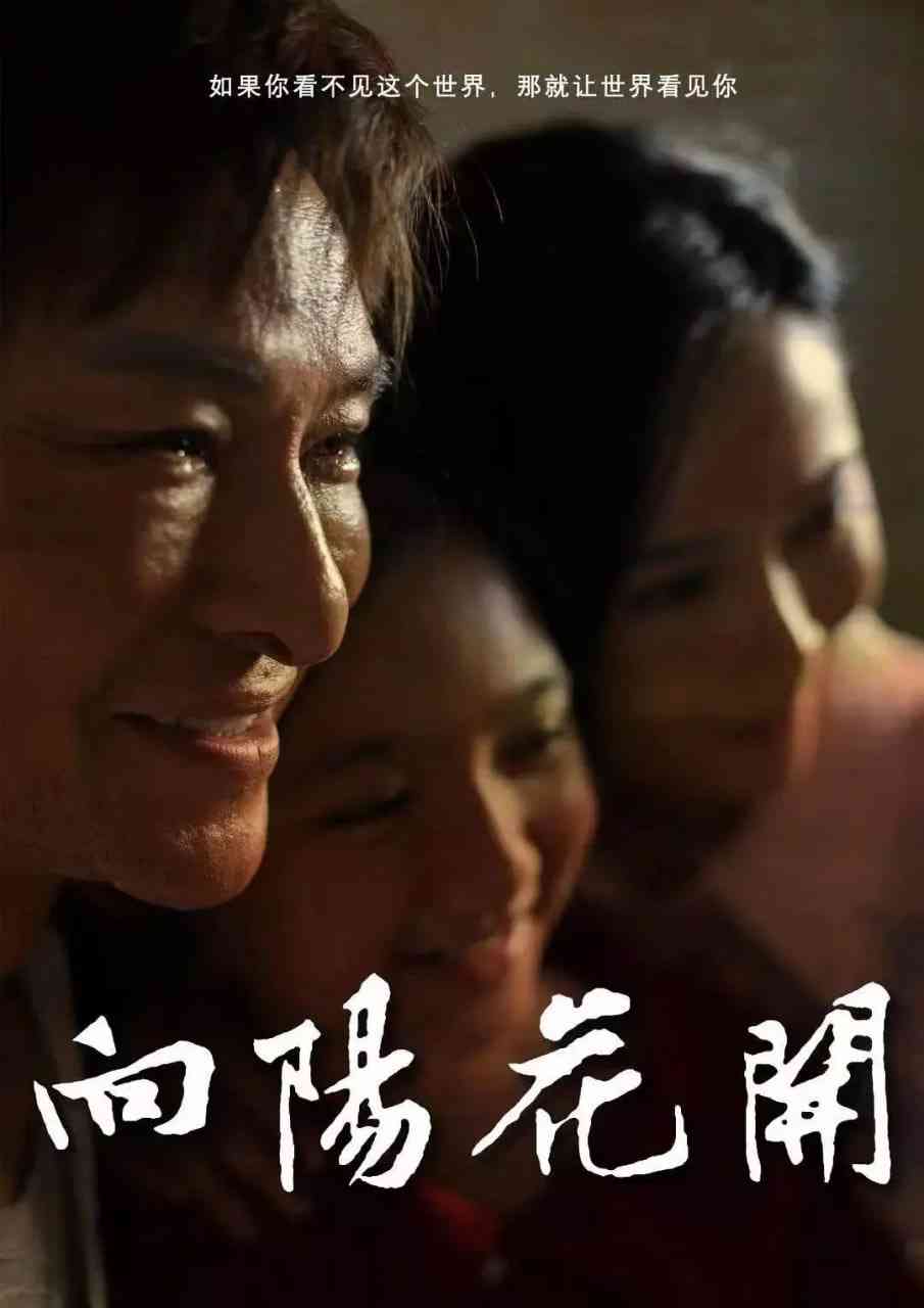 《向阳花开 2024》免费在线播放｜动作·中国大陆