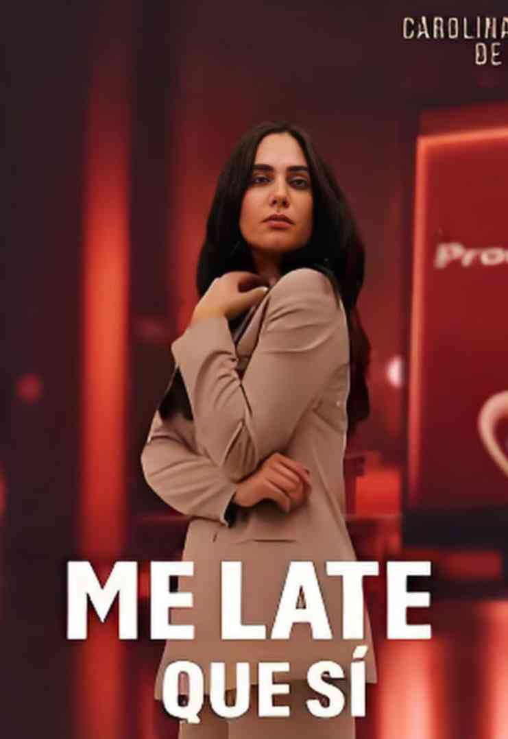 《和歌子酒 第六季》免费在线播放｜动作·日本