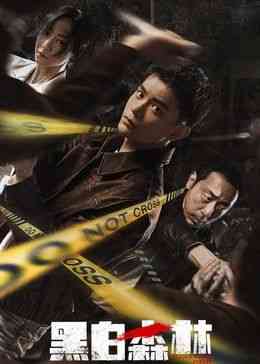 《黑白森林》免费在线播放｜悬疑,犯罪·中国大陆