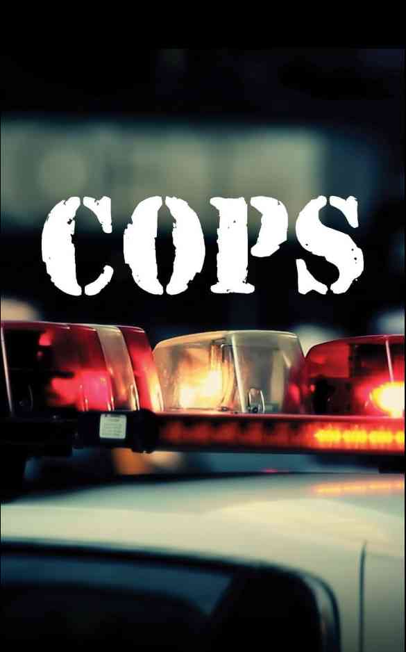 《执法先锋 第三十七季》免费在线播放｜犯罪·美国