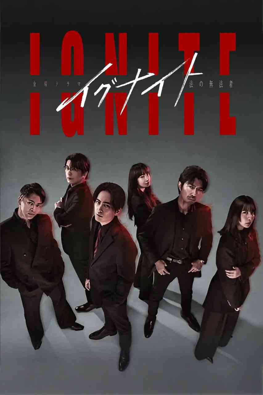 《点燃：法之无法者》免费在线播放｜剧情·日本