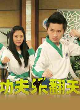 《功夫乐翻天》免费在线播放｜剧情,儿童·中国大陆