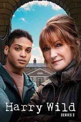 《野探哈莉 第二季》免费在线播放｜剧情,悬疑,犯罪·爱尔兰