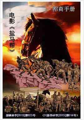 《盐马帮》免费在线播放｜动作·中国大陆