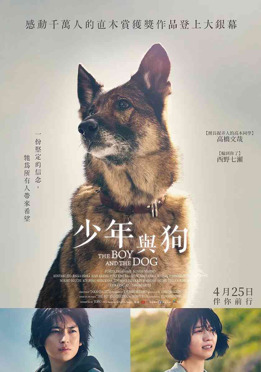 《少年与犬》免费在线播放｜剧情·日本