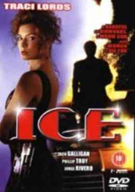 《虎胆神偷》免费在线播放｜动作·美国