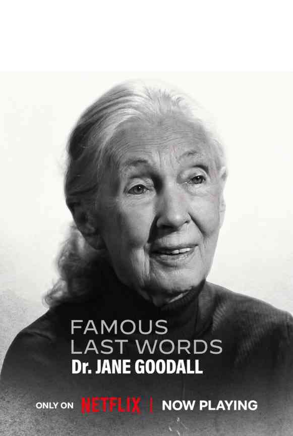 《临终遗言》免费在线播放｜记录·美国