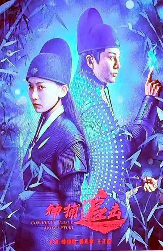 《神捕追击》免费在线播放｜剧情,古装·中国大陆