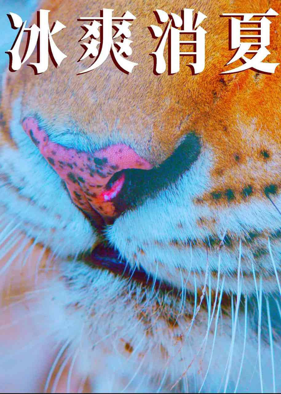 《寒冰白血》免费在线播放｜悬疑·中国大陆