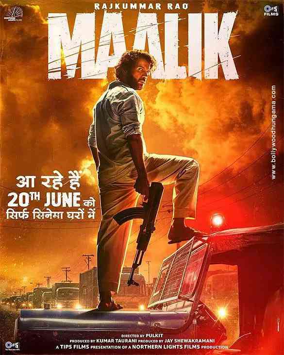 《马利克 2025》免费在线播放｜动作,惊悚·印度