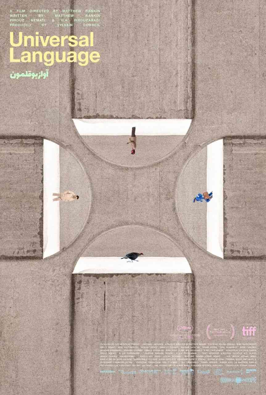 《共同的语言》免费在线播放｜剧情·加拿大