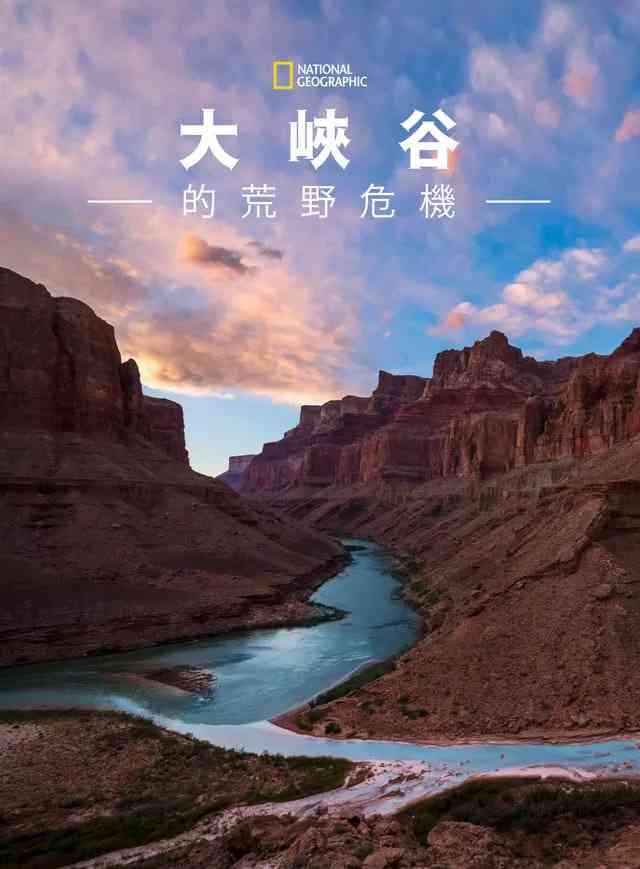 《大峡谷的荒野危机》免费在线播放｜纪录片·美国