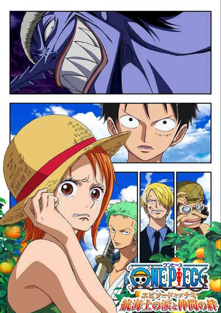 《海贼王娜美篇：航海士的眼泪与牵绊》免费在线播放｜动画·日本