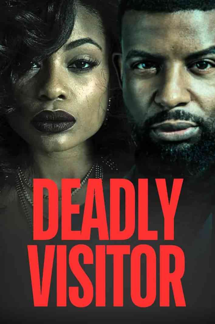 《致命访客》免费高清无广告在线播放|动作,惊悚·美国·2025