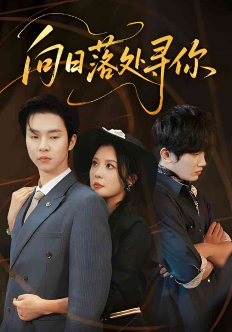 《向日落处寻你》免费高清无广告在线播放|短剧·中国大陆·2025