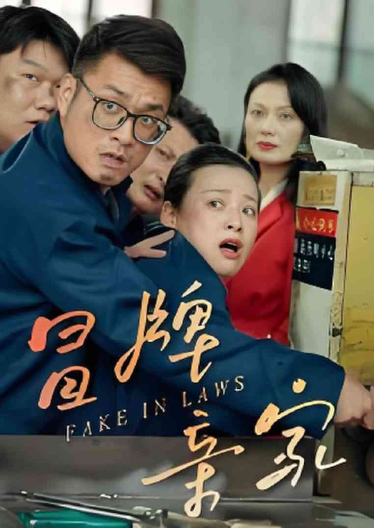 《冒牌亲家》免费高清无广告在线播放|短剧·中国大陆·2025