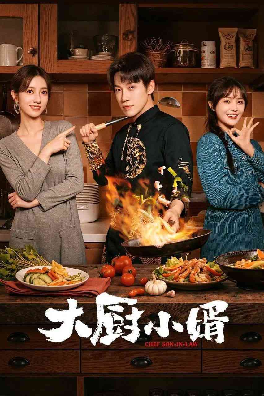 《大厨小婿》免费高清无广告在线播放|剧情·中国大陆·2025