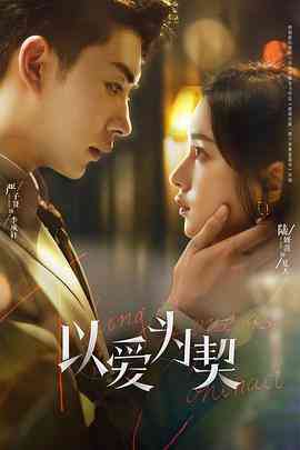 《以爱为契》免费高清无广告在线播放|剧情,爱情·中国大陆·2024