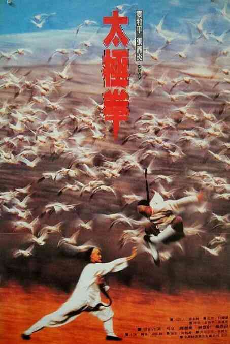 《功夫小子闯情关》免费高清无广告在线播放|动作,爱情,武侠,古装·中国香港,中国大陆·1996