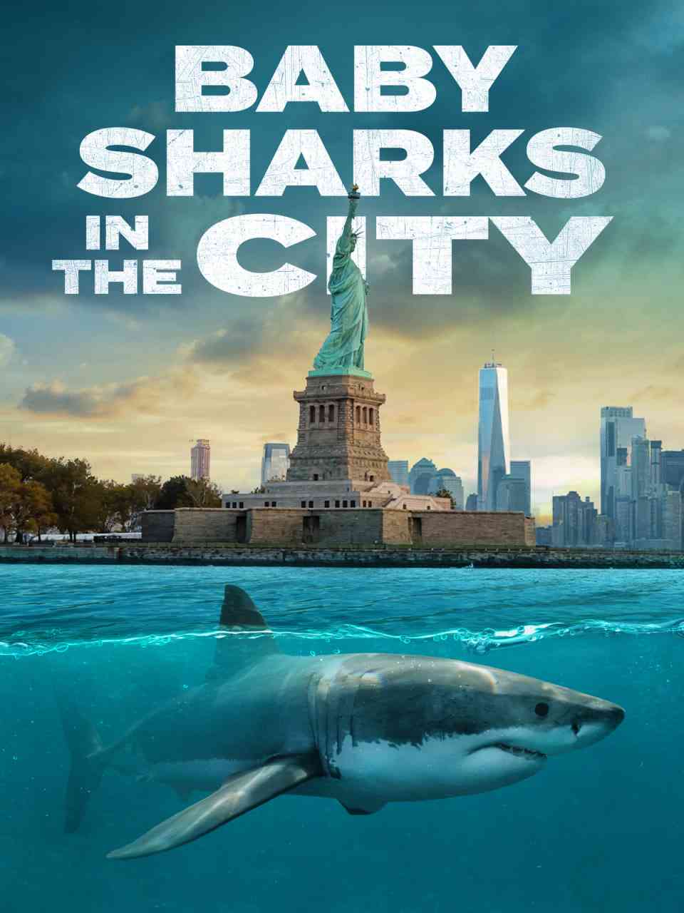 《城市里的鲨鱼宝宝》免费高清无广告在线播放|记录·美国·2024