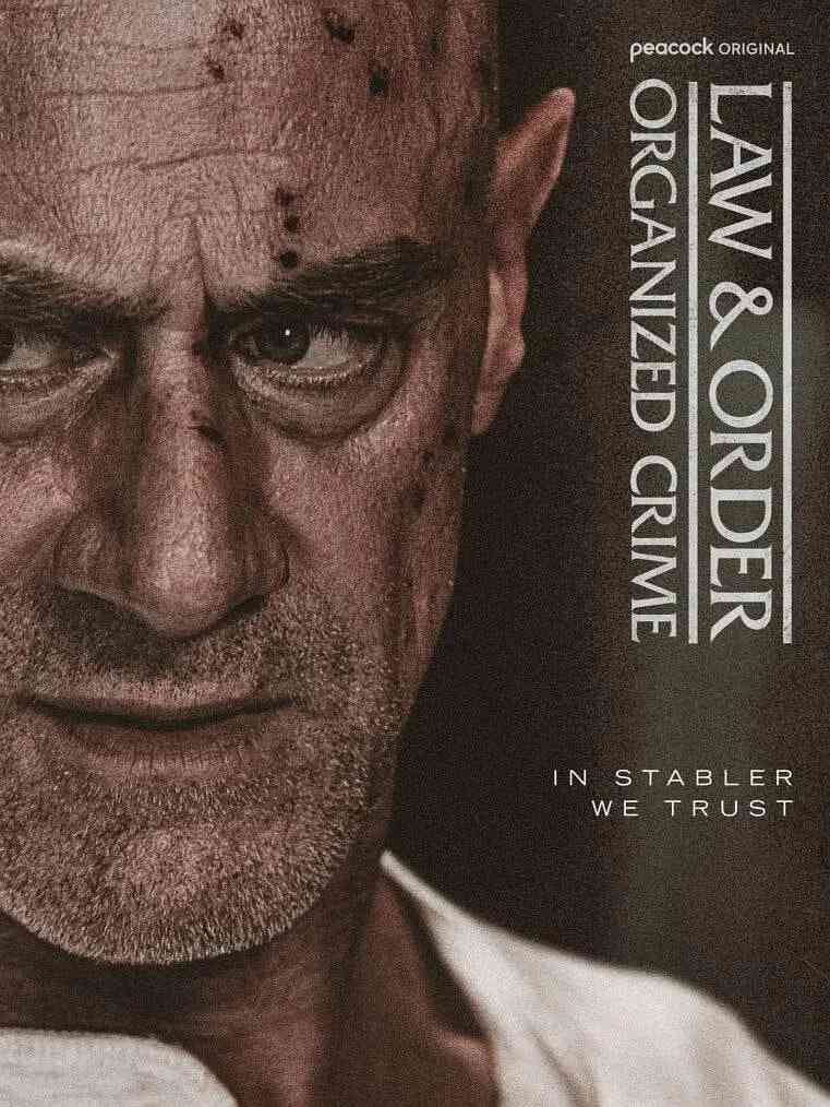 《法律与秩序：组织犯罪 第五季》免费高清无广告在线播放|剧情,犯罪·美国·2025