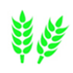 《沙狐粮食购销管理系统v1.0》免费下载|系统工具·1.0