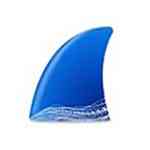 《Wireshark官网中文版》软件免费下载|系统工具·4.4.0.0